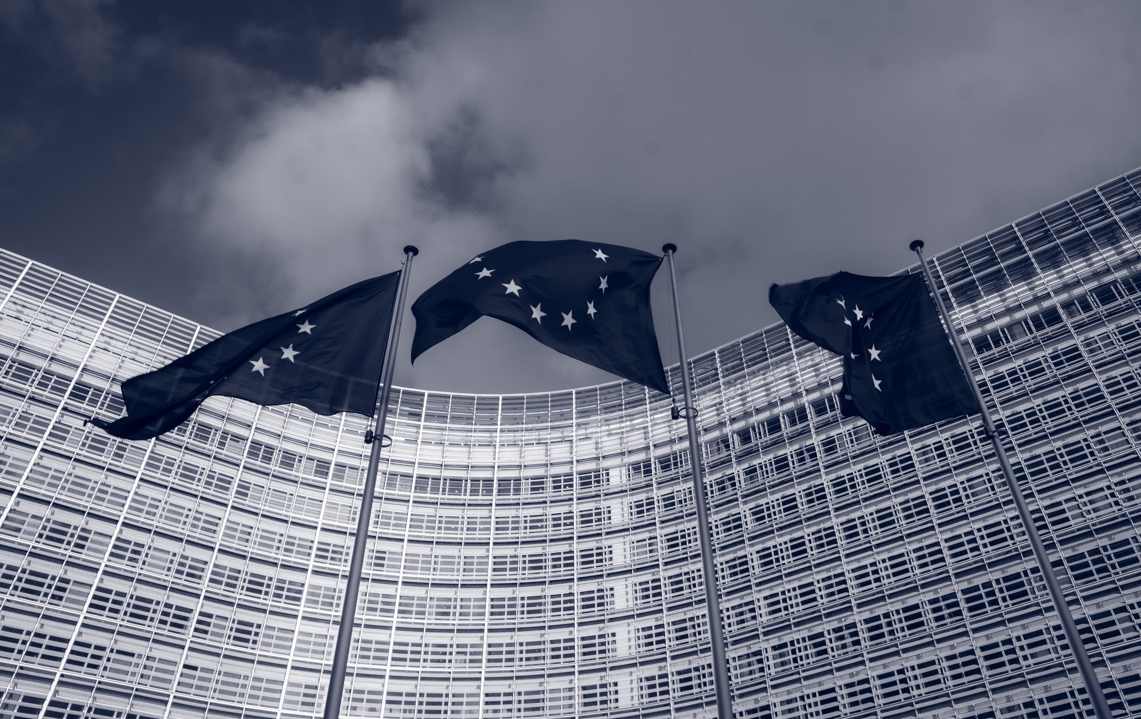 YCE Addresses the "Cross Border Health Directive" at the European Parliament